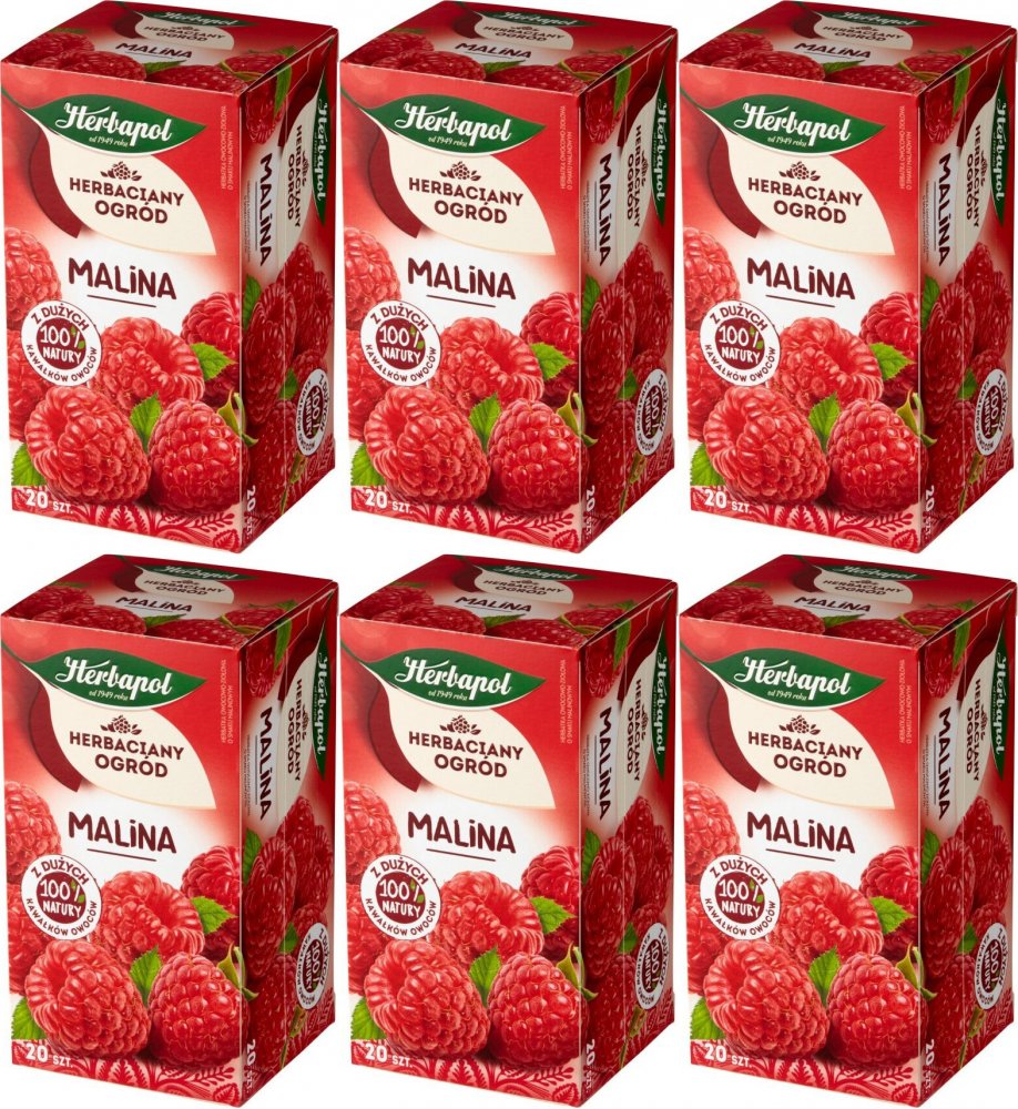 6x Herbata owocowa w torebkach Herbapol Herbaciany Ogród, malina, 20 sztuk x 3g