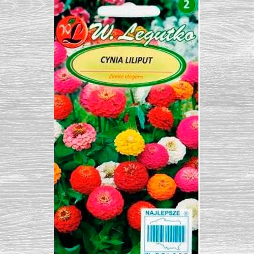1 pac, Zinnia Liliput, mix multicolor Legutko - Semințe: Mod de ambalare: 1 g