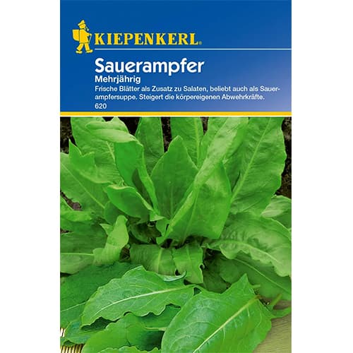 1 szt, Sauerampfer Mehrjährig - Samen: Ilość w opakowaniu: 1 Stück