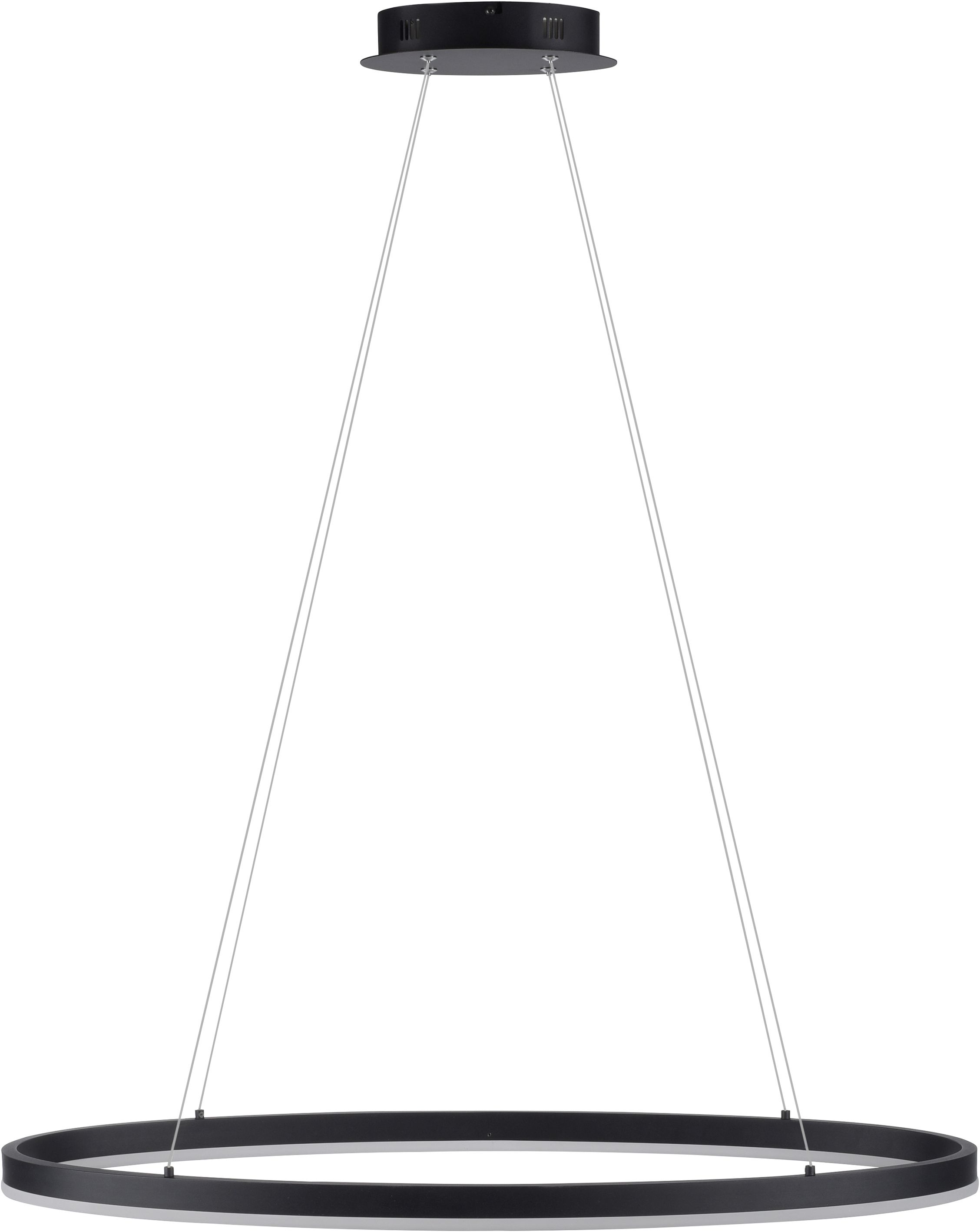 Paul Neuhaus Titus lampa wisząca 1x38W antracytowy 2392-13