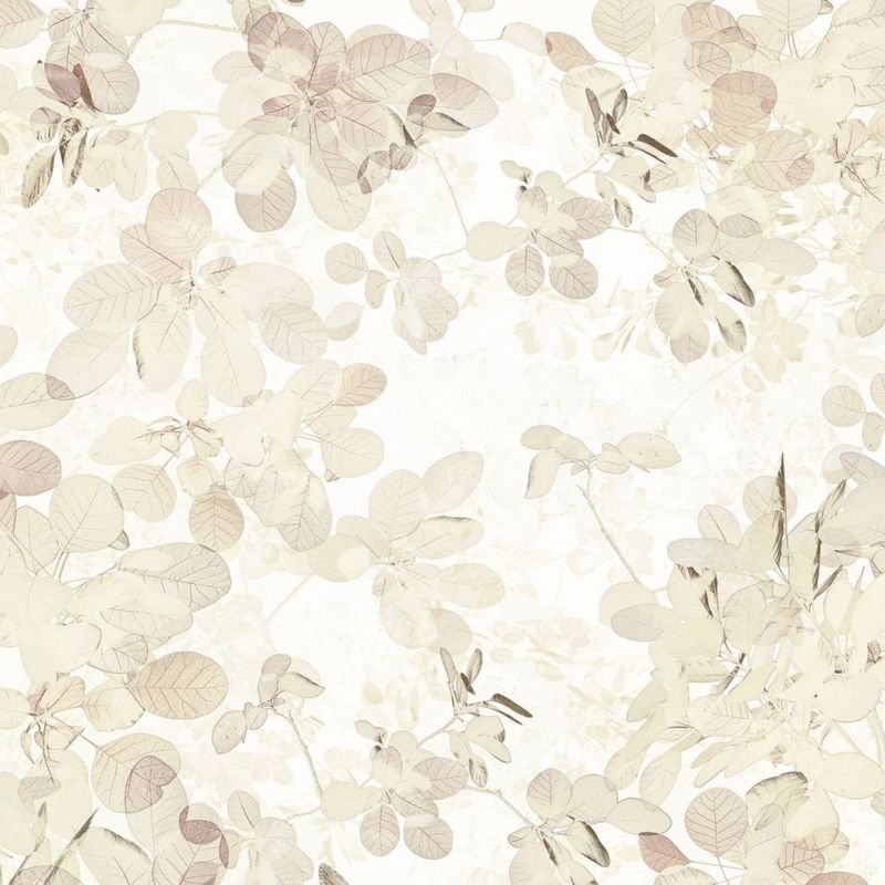 fototapeta Sanders & Sanders liście beżowymIbiałym 400 x 250 cm - 1 rol.