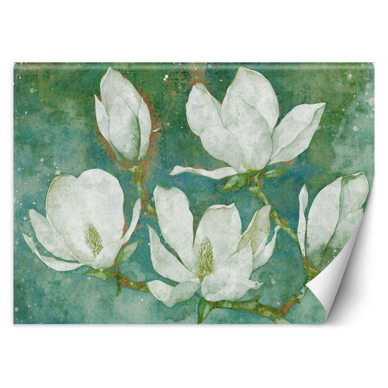 Fototapeta Feeby Kwitnące magnolie abstrakcja 350x245 1 szt