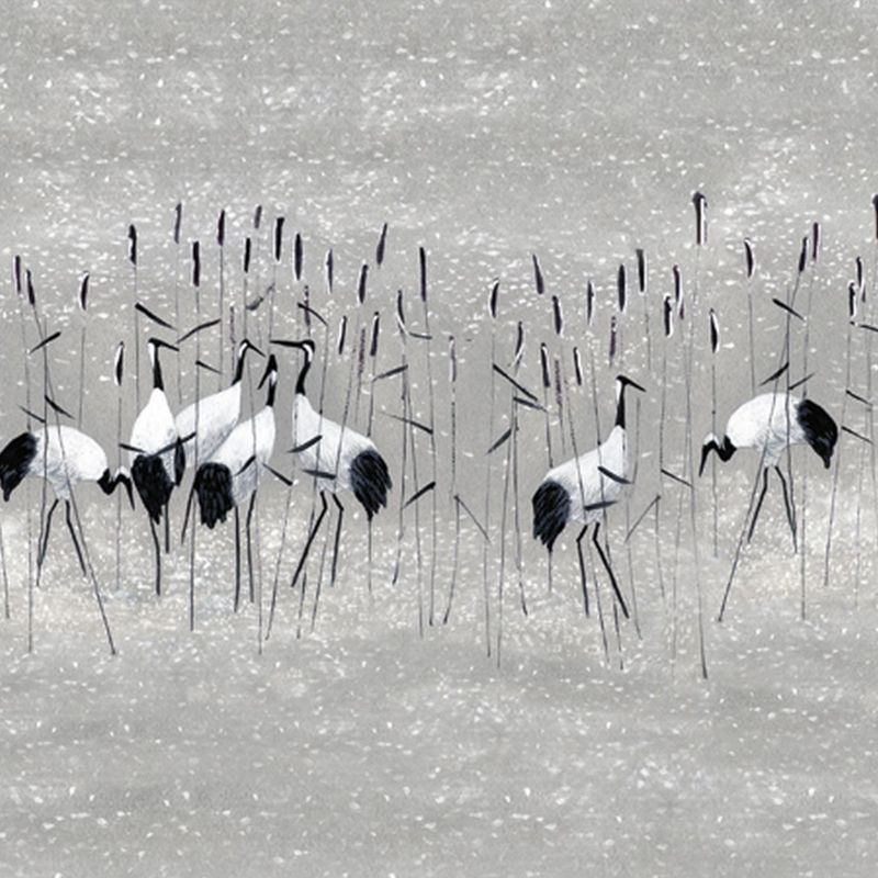 fototapeta Sanders & Sanders żurawi szarym 371 x 280 cm - 1 rol.