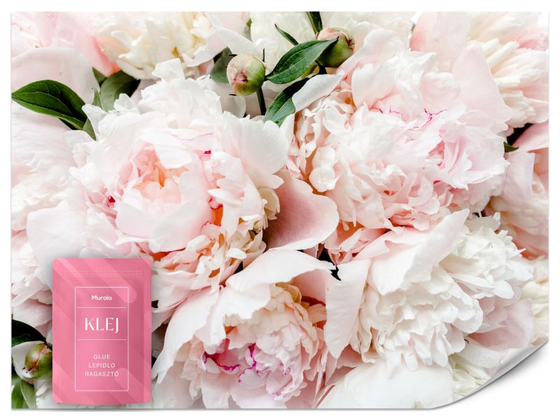 Fototapeta Muralo Kolorowe Piwonie Natura Przyroda Do Salonu 200x140 cm 1szt.