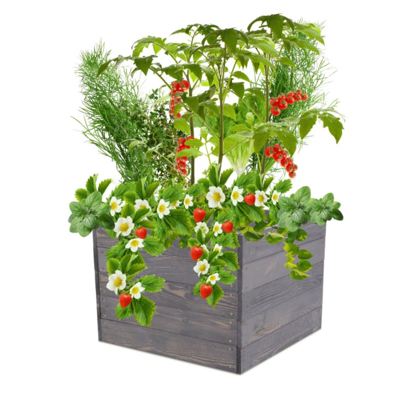 Inspekt warzywny MODO24 grządka szara impregnacja 45x83x60 cm 1 szt.