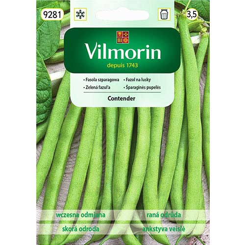 1 szt, Fasola szparagowa zielona karłowa Contender Vilmorin - Nasiona: Ilość w opakowaniu: 30 g