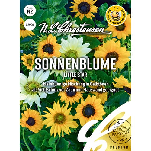 1 szt, Napraforgó Little Star - Magok: Mod de ambalare: 1 db