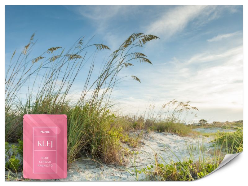 Fototapeta Muralo Wydmy Krajobraz Nadmorski Natura Do Sypialni 300x210 cm 1szt.