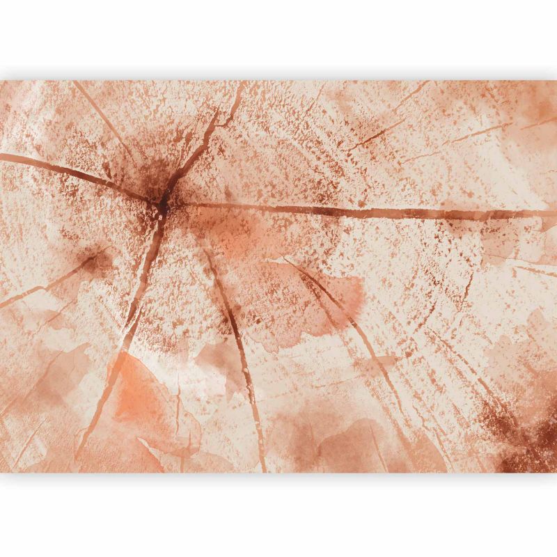 Fototapeta flizelinowa Artgeist 110g/m2 Tła i desenie beżowa 150x105 (3 części) 0912aa rolka 1 szt