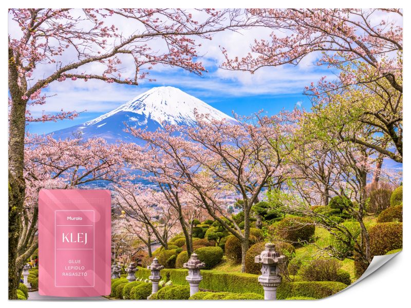Fototapeta Muralo Peace Park W Japonii Z Widokiem Na Górę Fuji Do Sypialni 100x70 cm 1szt.