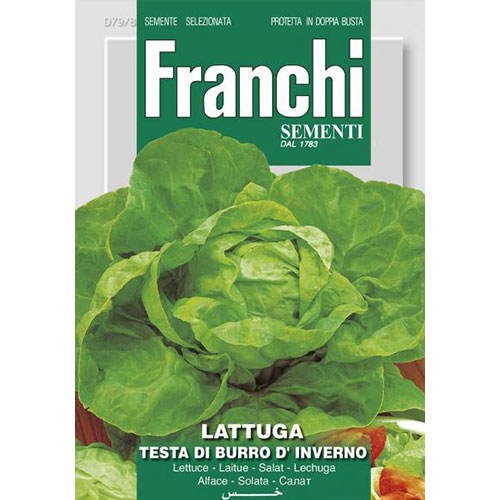 1 pac, Salată de capățână Testa di Burro d'Inverno - Semințe: Mod de ambalare: 10 g