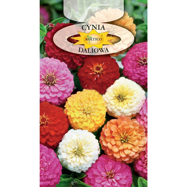 Nasiona Cynia Wytworna Daliowa Mieszanka 1g