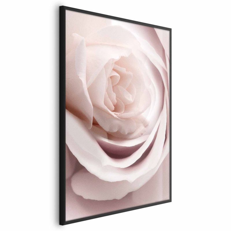 Plakat Artgeist Porcelanowa róża 60x90 cm z ramą czarną 1 szt
