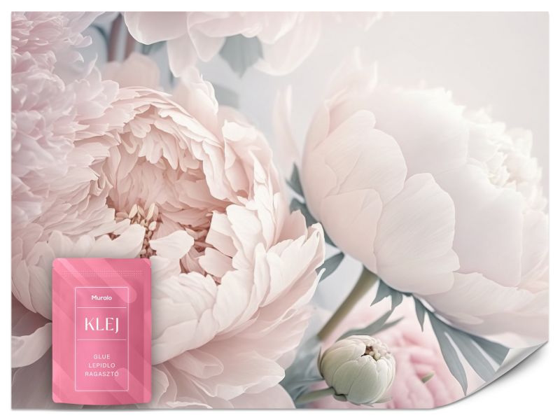 Fototapeta Muralo Duże Różowe Peonie 250x175 cm 1szt.