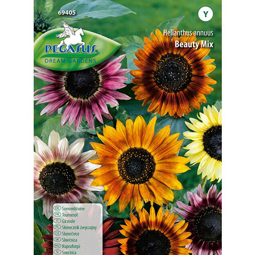 1 szt, Słonecznik ozdobny Beauty, mieszanka Kiepenkerl - Nasiona: Ilość w opakowaniu: 1 opak