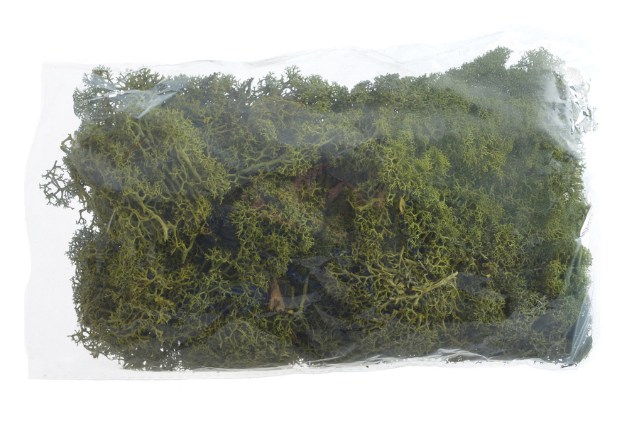 Mech chrobotek ciemno zielony 100g