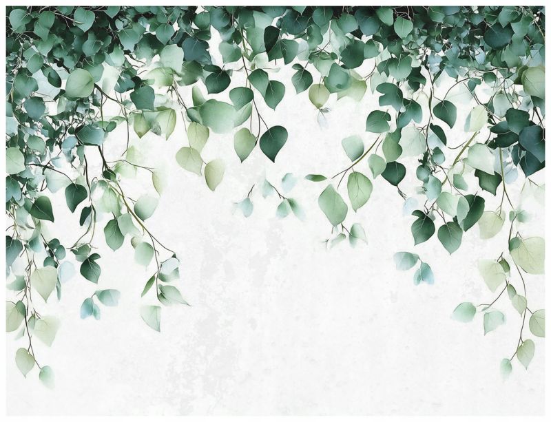 Fototapeta Na Flizelinie WALLARENA 400x280 cm Tapeta Do Salonu Kuchni Liście Zielone 1 szt.