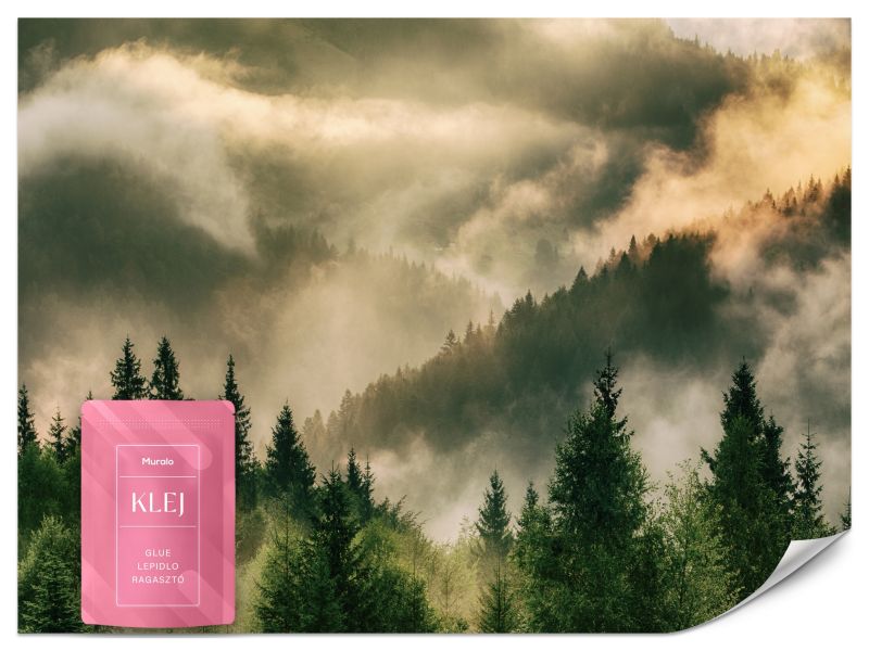 Fototapeta Muralo Mglisty Krajobraz Nowoczesna Ozdoba Sypialni 200x140 cm 1szt.