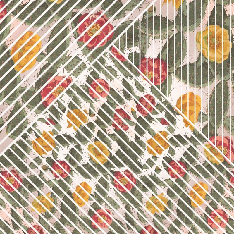 fototapeta Sanders & Sanders rośliny zielonym,czerwonymIżółtym 300 x 280 cm - 1 rol.