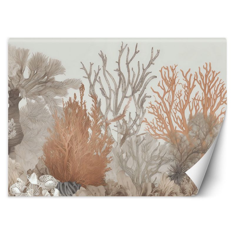 Fototapeta Feeby Feeby Fototapeta Feeby Rośliny morskie 300x210 1 szt