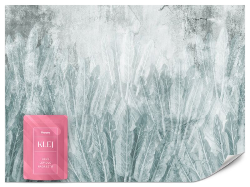 Fototapeta Muralo Liście Bananowca Na Betonie Loft 250x175 cm 1szt.