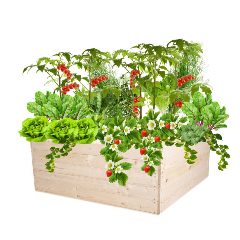 Inspekt warzywny MODO24 grządka naturalne drewno 45x103x100 cm 1 szt.