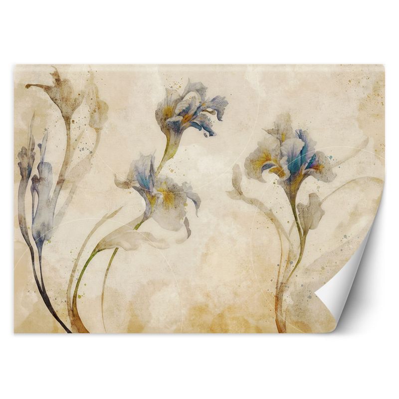 Fototapeta Feeby Irysy akwarela 300x210 1 szt