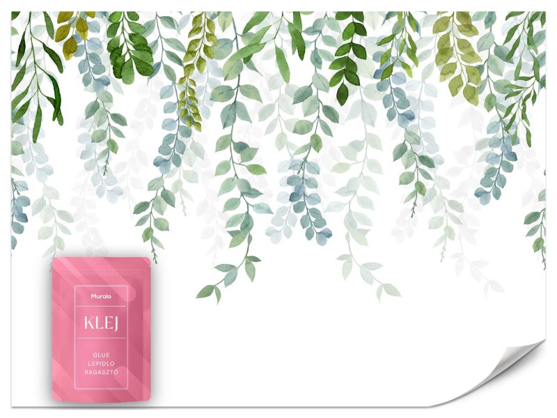 Fototapeta Muralo Delikatne Listki Natura Do Salonu Nowoczesna 300x210 cm 1szt.