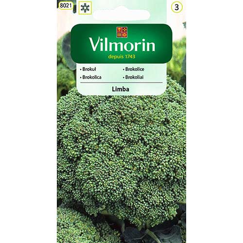 1 szt, Brokul Limba wczesny Vilmorin - Nasiona: Ilość w opakowaniu: 1 g