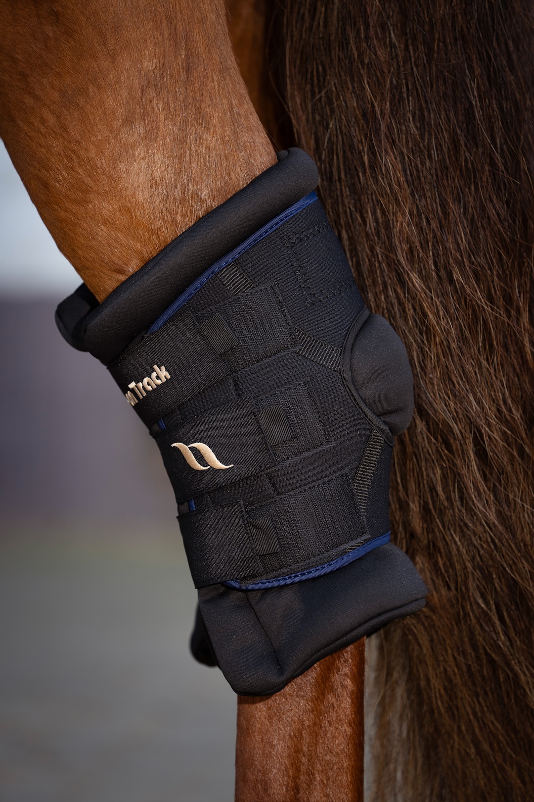 Back on Track ochraniacze na staw skokowy Royal Deluxe, para