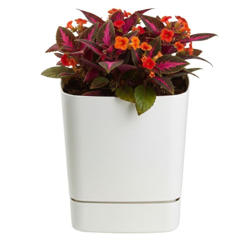 Donica z podstawką CUBI HowHomely plastikowa kremowa kwadratowa 19x19 cm 1 szt.