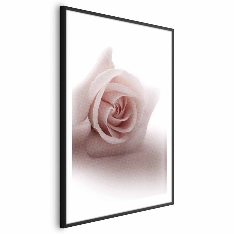 Plakat Artgeist Różany cień 60x90 cm z ramą czarną 1 szt