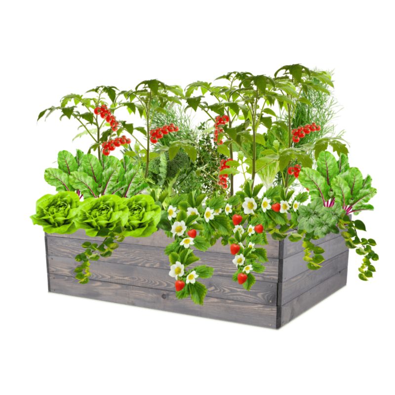 Warzywniak MODO24 grządka szara impregnacja 36x120x100 cm 1 szt.