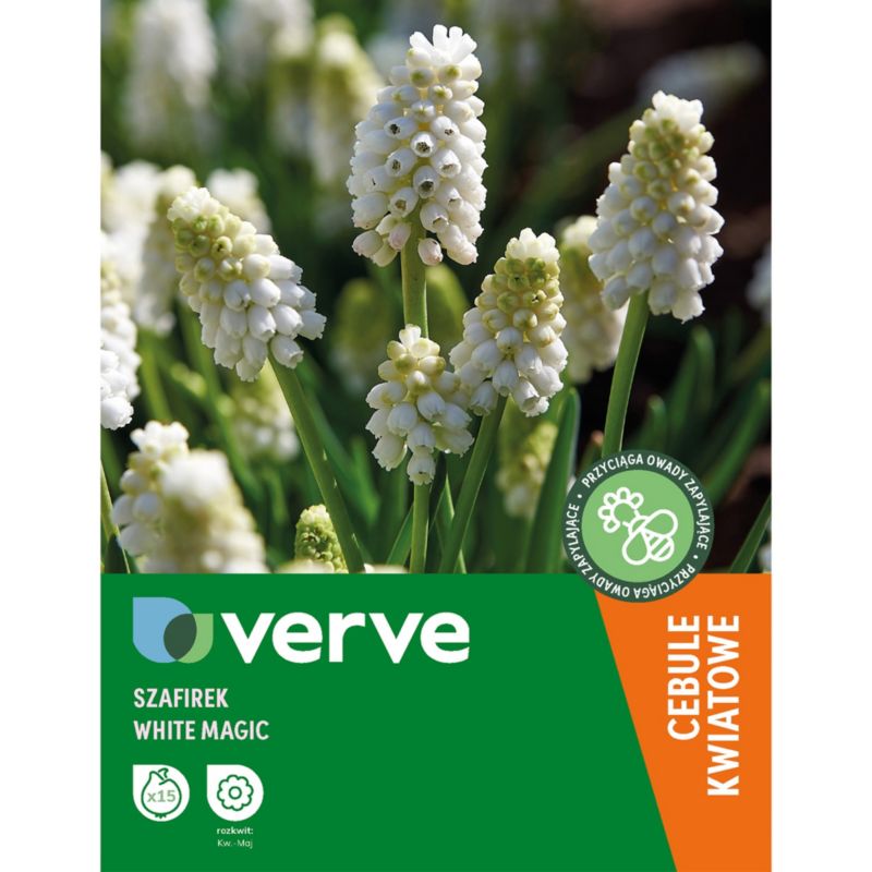 Hiacynt White Pearl with magic 15 szt.