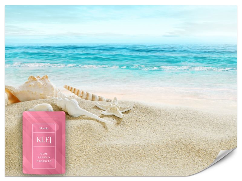 Fototapeta Muralo Muszle Na Plaży Krajobraz Morski 500x350 cm 1szt.