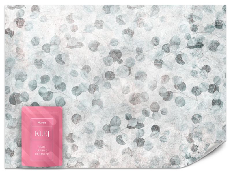 Fototapeta Muralo Szare Liście Eukaliptusa 450x315 cm 1szt.