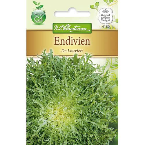 Endywia De Louviers - Nasiona. Ilość w opakowaniu: 1 opak - GradinaMax