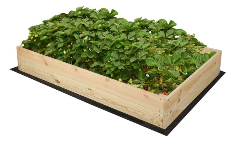 Grządka MODO24 skrzynia naturalne drewno 18x120x60 cm 1 szt.