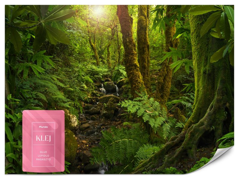 Fototapeta Muralo Zieleń w Lesie Drzewa 250x175 cm 1szt.