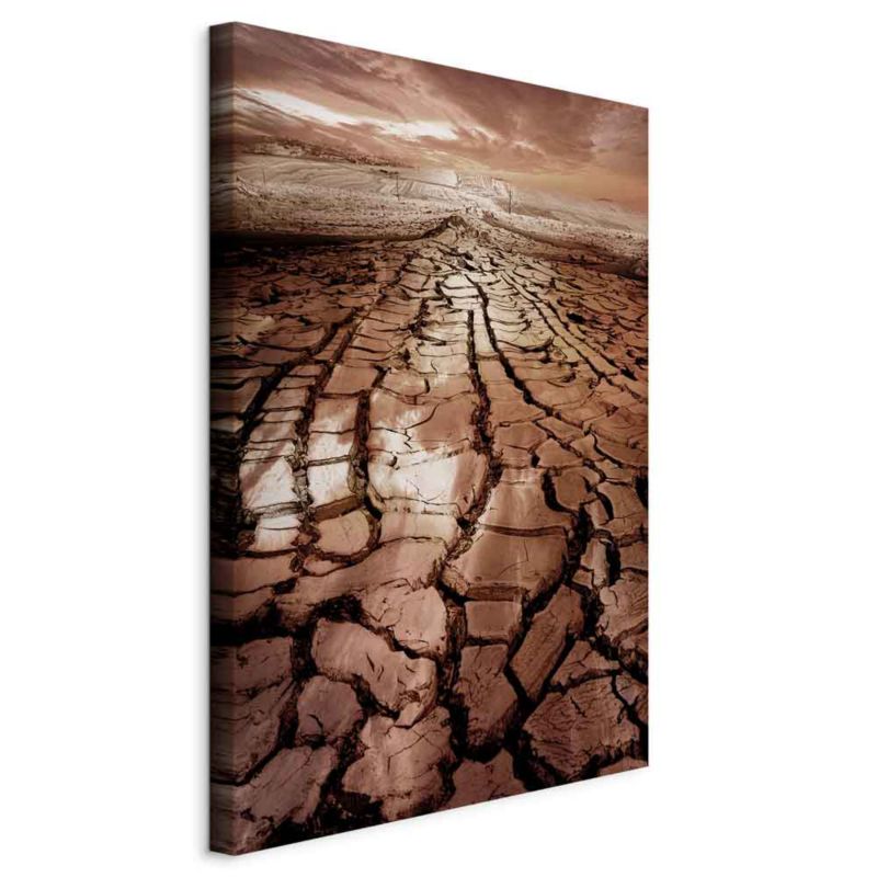 Obraz Artgeist Susza 80 x 120 cm flizelina 1 szt
