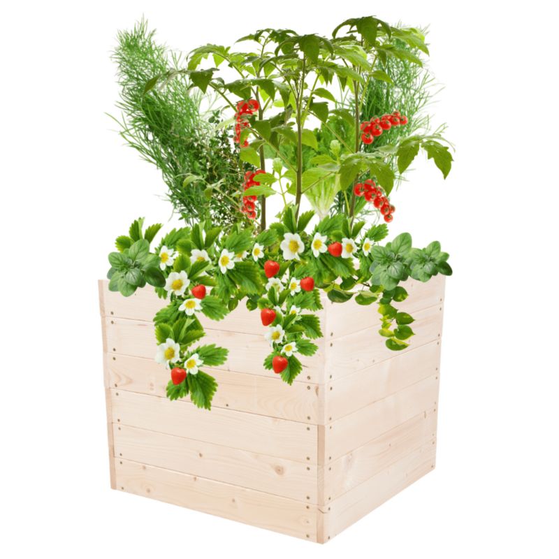 Warzywnik drewniany MODO24 grządka naturalne drewno 54x93x90 cm 1 szt.