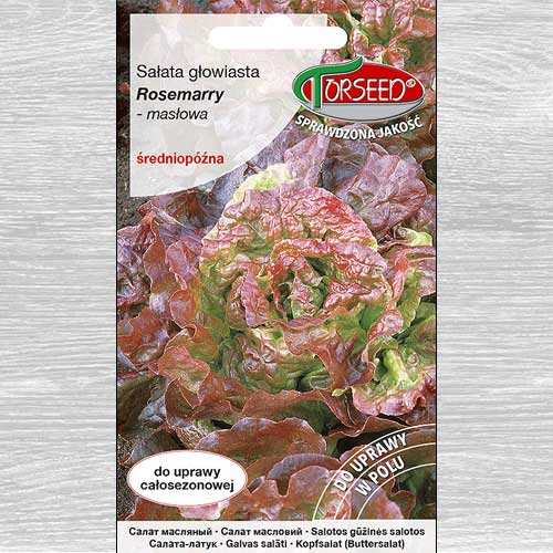 1 szt, Sałata głowiasta masłowa Rosemarry - Nasiona: Ilość w opakowaniu: 0.5 g