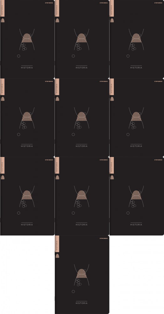 10x Zeszyt przedmiotowy w kratkę TOP 2000 Historia, ze ściągami, A5, 60 kartek, czarny