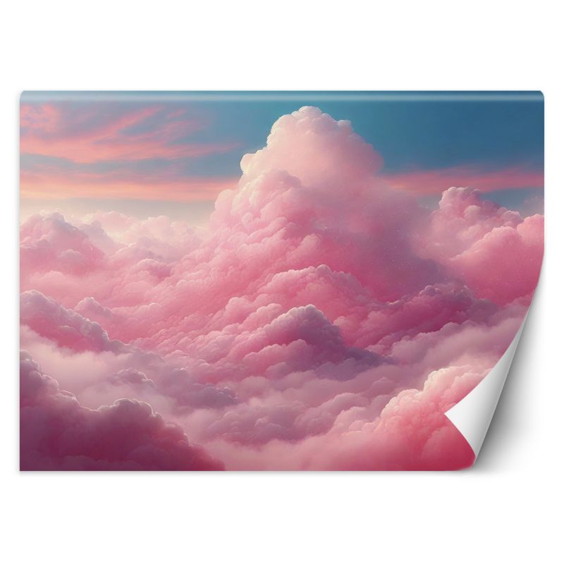 Fototapeta Feeby Różowe chmury 450x315 1 szt