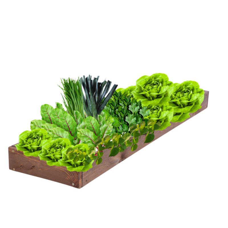 Skrzynia warzywna MODO24 regulowana donica 9x30x120 cm brązowe impregnowane drewno 1 szt