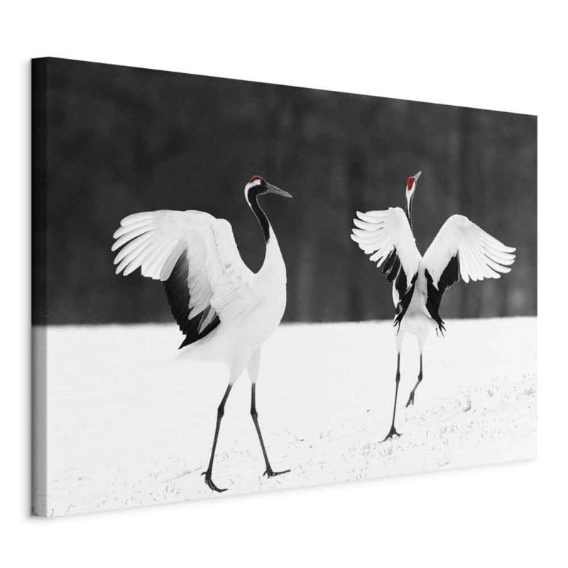 Obraz Artgeist Dancing cranes 30 x 20 cm flizelina 1 szt