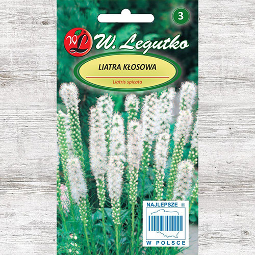 1 szt, Liatra kłosowa (Liatris spicata) biała Legutko - Nasiona: Ilość w opakowaniu: 0.2 g