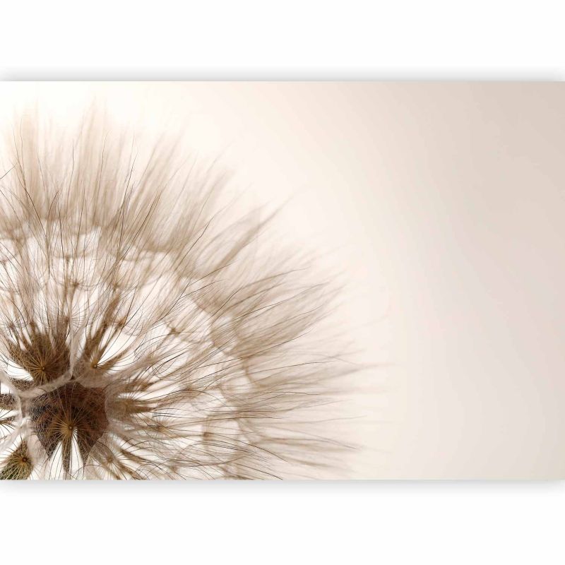 Fototapeta flizelinowa Artgeist 170 g/m2 wodoodporna Kwiaty beżowa 350x256 (7 części) 0667aa rolka 1 szt