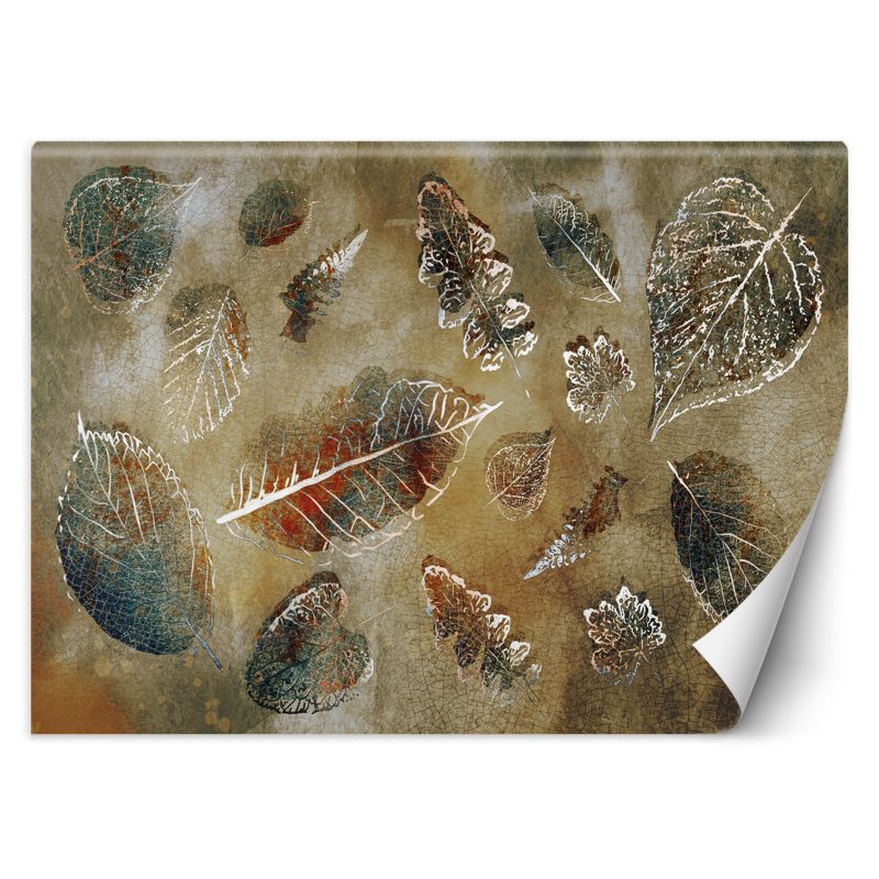 Fototapeta Feeby Liście w stylu vintage 150x105 1 szt