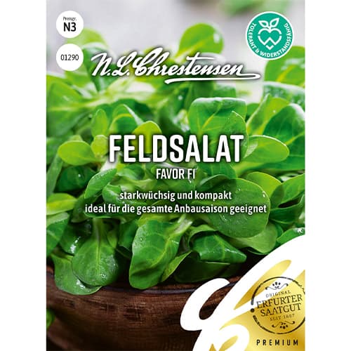 1 szt, Feldsalat Favor F1 - Samen: Ilość w opakowaniu: 1 Stück